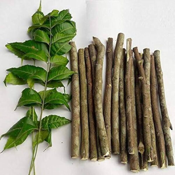 Neem toothbrush