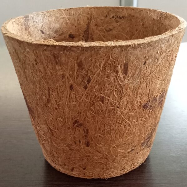 6" coconut coir pot