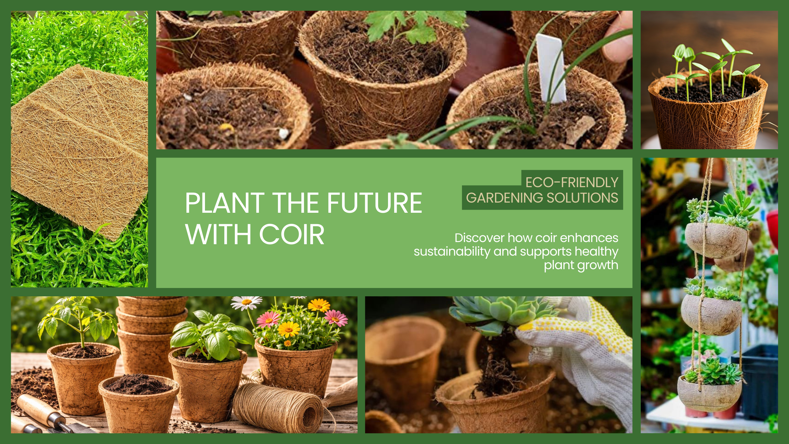 YouTube Banner - Plant the Future with Coir (1)